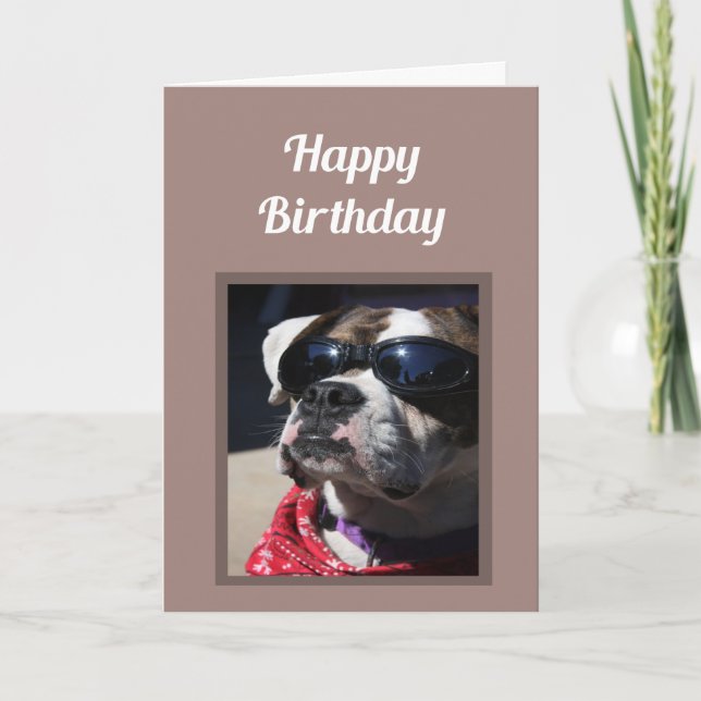 Carte Joyeux anniversaire Cool Dude Fun Boxer Chien Salu (Devant)
