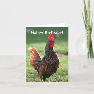 Carte Joyeux anniversaire, coq