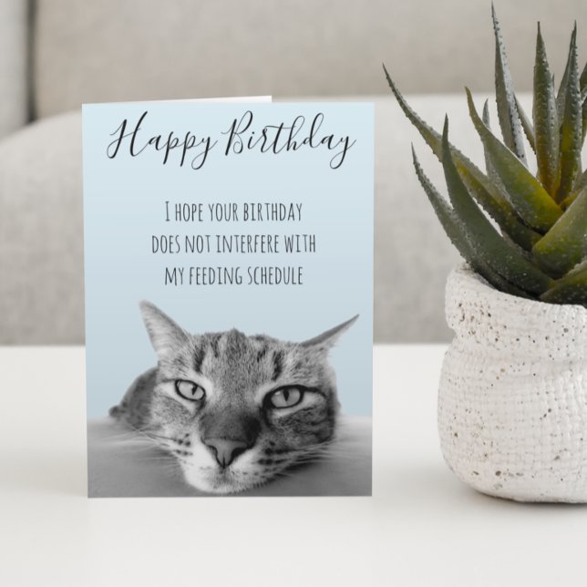 Carte Joyeux Anniversaire De Chat Humour Amusant (Créateur téléchargé)