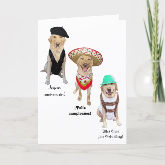 Carte Joyeux Anniversaire De Chien Drole Dans Quatre Zazzle Fr