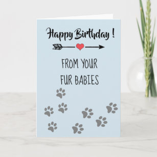 Cartes Chien Chat D Anniversaire Zazzle Fr