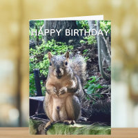 Joyeux anniversaire de Deez Nuts Funny Squirrel Ph
