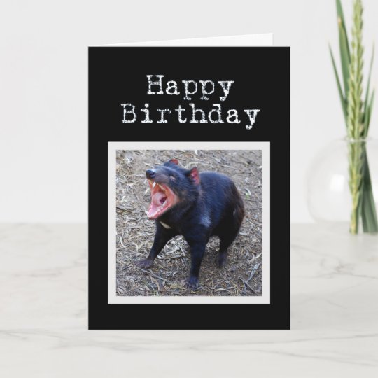 Carte Joyeux Anniversaire De Diable Tasmanien Zazzle Fr