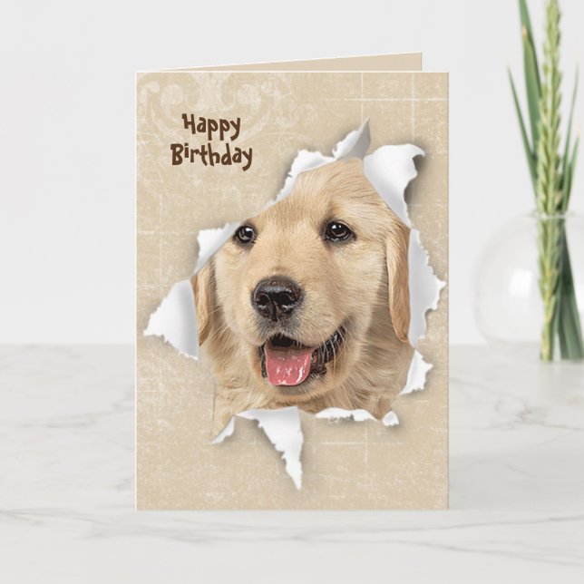 Carte Joyeux anniversaire de Golden Retriever (Devant)