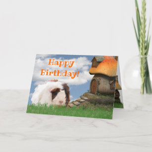 Cartes Cobaye D Anniversaire Zazzle Fr