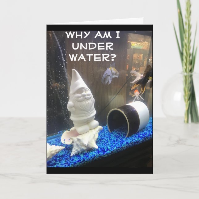 CARTE JOYEUX ANNIVERSAIRE DE L'HUMOUR GNOME (Devant)