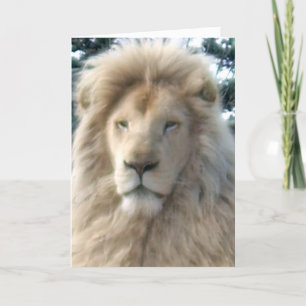 Carte "Joyeux anniversaire" de Lion Head