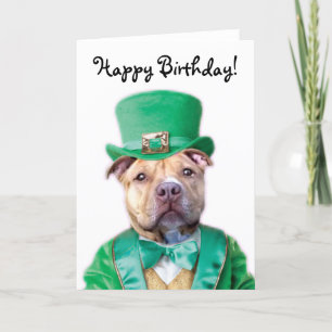 Carte Joyeux anniversaire de l'Irish Pitbull Puppy greet