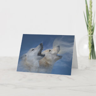 Cartes Loup D Anniversaire Zazzle Fr