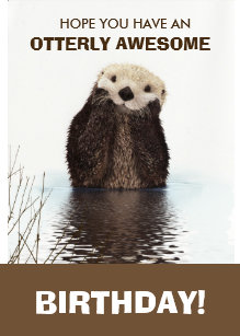 Cartes De Vœux Loutre Zazzle Fr