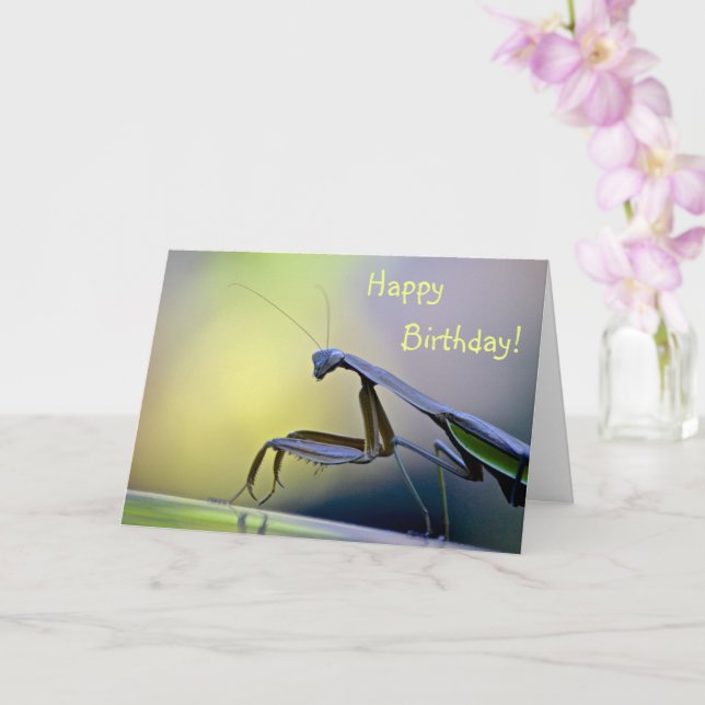 Carte Joyeux Anniversaire de Mantis (Orchidée)