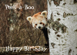 Fetes Occasions Speciales Red Panda Carte D Anniversaire Maison Cdnorteimagen Cl Fetes Occasions Speciales Red Panda Carte D Anniversaire Maison Cdnorteimagen Cl