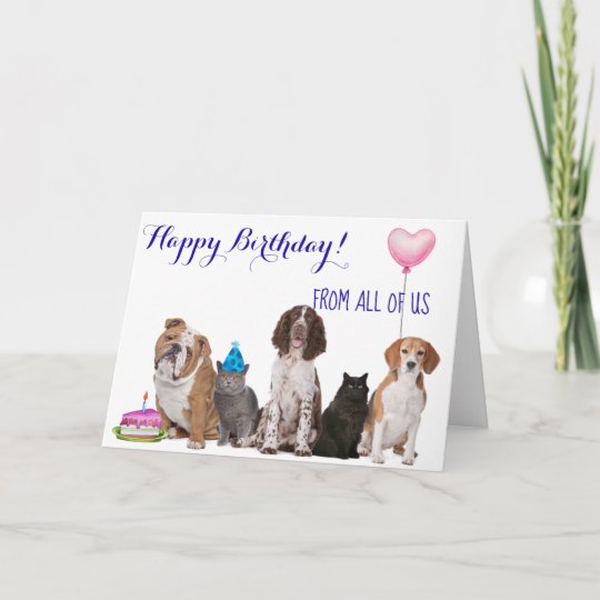 Carte Joyeux Anniversaire De Tous Les Nous Chat De Chien Zazzle Fr