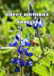Cartes Vanessa D Anniversaire Zazzle Fr