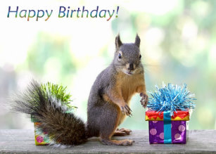 Invitations Faire Part Cartes Joyeux Anniversaire Ecureuil Zazzle Fr Invitations Faire Part Cartes Joyeux Anniversaire Ecureuil Zazzle Fr
