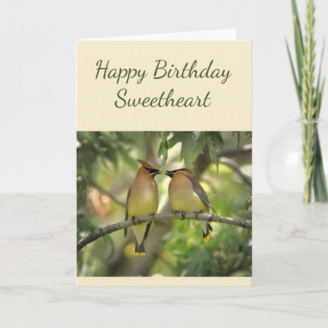 Carte Joyeux Anniversaire des oiseaux amoureux (Devant)