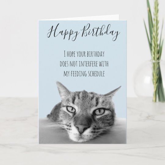 Carte Joyeux Anniversaire D Humour Drole De Chat Zazzle Fr