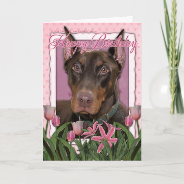 Carte Joyeux anniversaire - Doberman - Rocky (Devant)