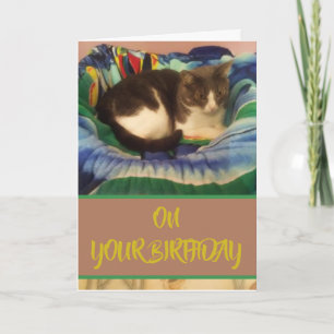 Carte Joyeux anniversaire domestique Grey and White Kitt