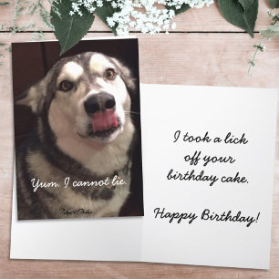 Carte Joyeux anniversaire drôle Chien Malamute d'Alaska