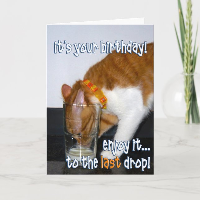 Carte Joyeux Anniversaire - Drôle de chat buvant dans un (Devant)