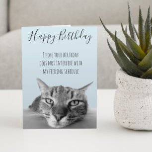 Carte Joyeux Anniversaire Du Chat Humour Drôle