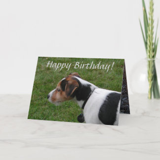 Carte Joyeux anniversaire du chien