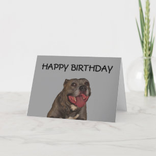 Carte Joyeux Anniversaire Du Chien