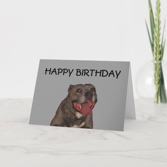 Carte Joyeux Anniversaire Du Chien (Devant)