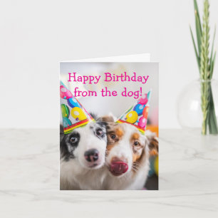 Carte Joyeux anniversaire du chien
