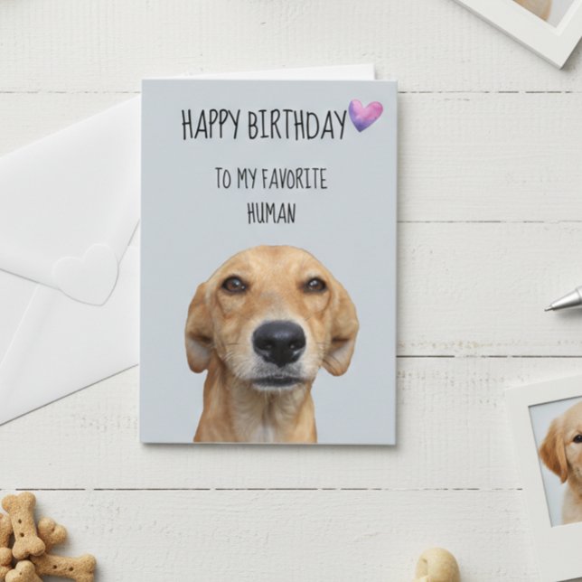 Carte Joyeux Anniversaire du Chien à l'Humain Préféré (Créateur téléchargé)