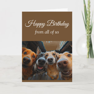 Carte Joyeux Anniversaire du Groupe Drôles Animaux de Co