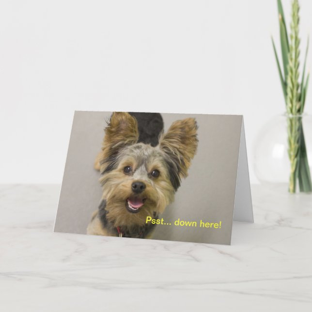 Carte Joyeux anniversaire du petit. (Devant)