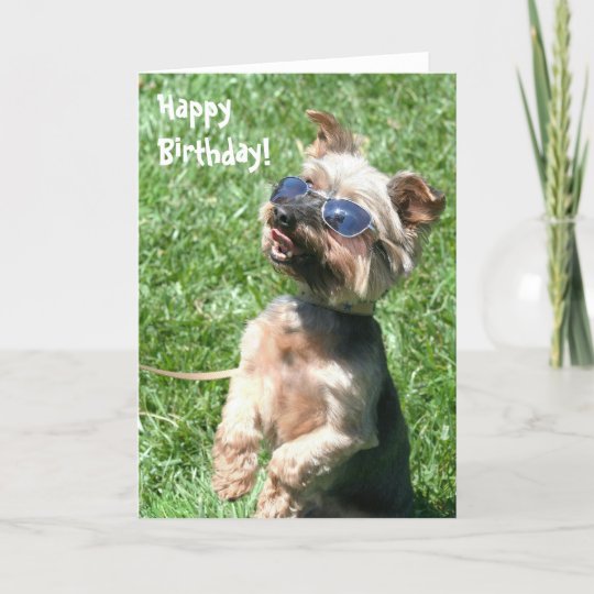 Carte Joyeux Anniversaire Du Yorkshire Terrier Greeting Zazzle Fr