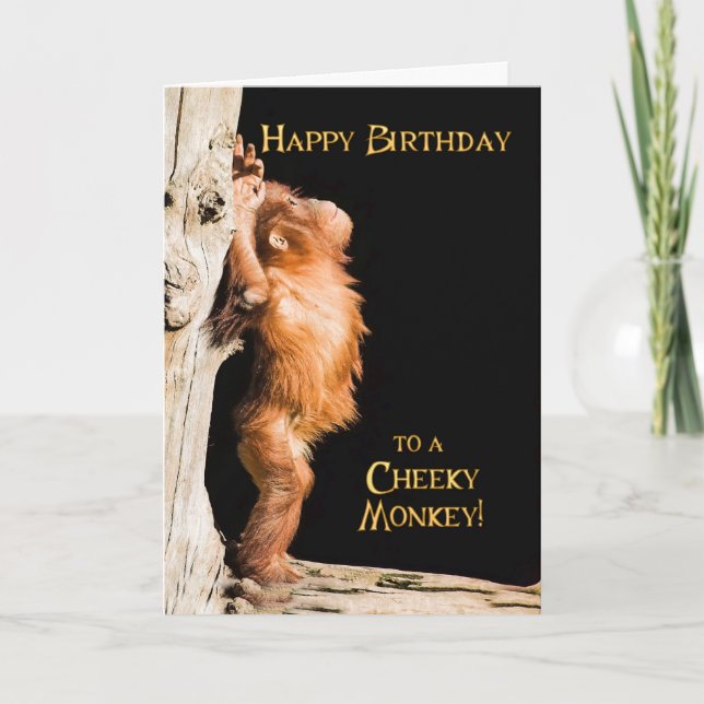 Carte Joyeux anniversaire d'un bébé orang utan (Devant)