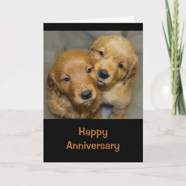 Carte Joyeux Anniversaire D'Un Couple De Chien Gâté (Devant)