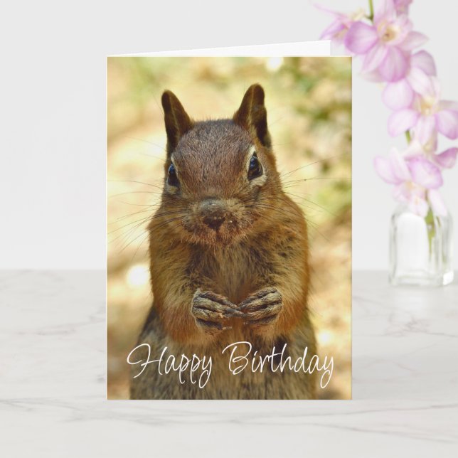 Carte Joyeux Anniversaire Écureuil Cherchant un Gâteau (Orchidée)