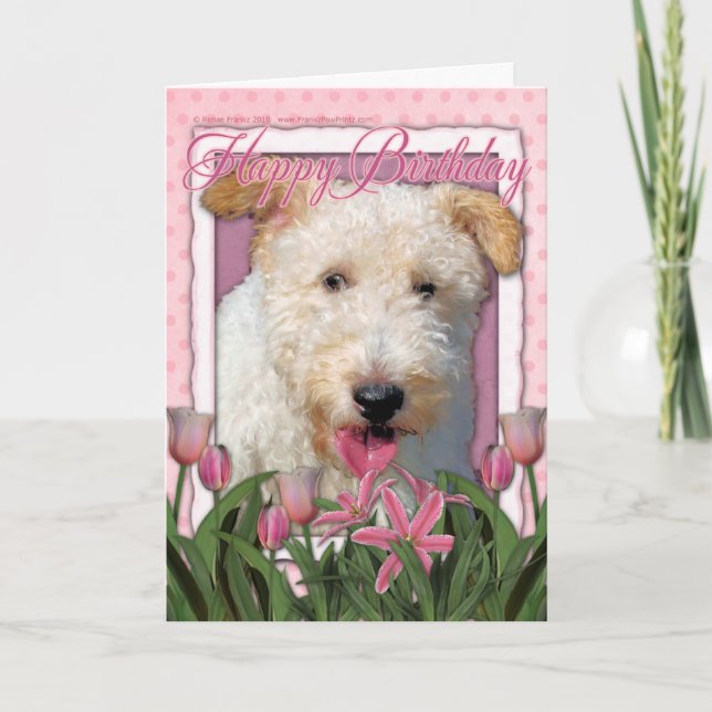 Carte Joyeux anniversaire - Fil Fox Terrier - Hailey (Devant)