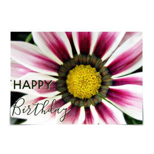 Carte "Joyeux anniversaire" Fleurie violette de Gazania