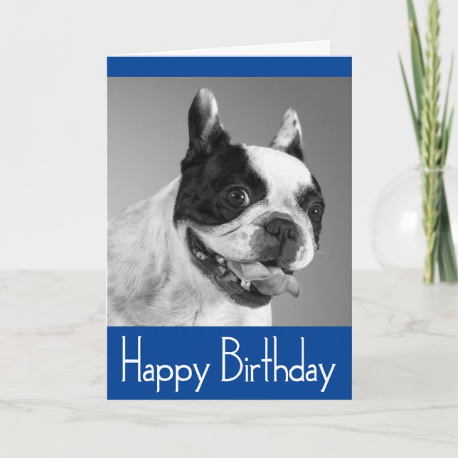 Carte Joyeux Anniversaire Français Bulldog Puppy Card -  (Devant)