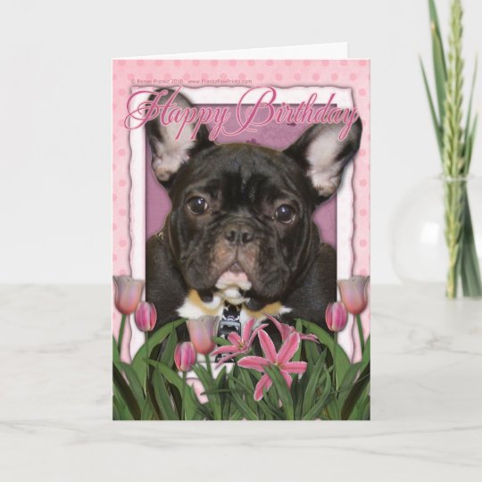 Carte Joyeux Anniversaire French Bulldog Turquoise Zazzle Fr