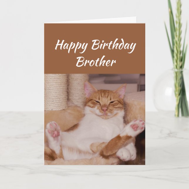 Carte Joyeux Anniversaire Frère Célébrer Funny Chat (Devant)