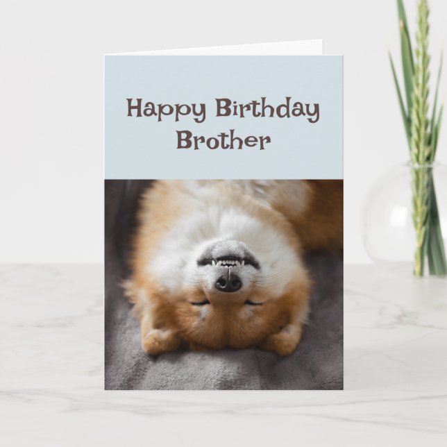 Carte Joyeux Anniversaire Frère Funny Chien Fête Heure! (Devant)