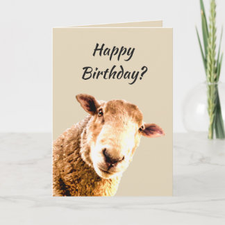 Carte Joyeux anniversaire Funny Sheep Humour animal