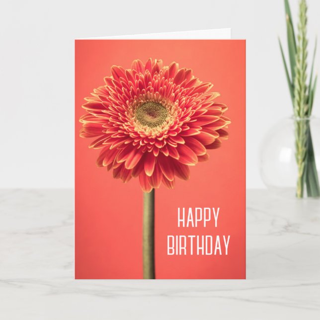Carte Joyeux Anniversaire | Gerbera Daisy Barberton Roug (Devant)