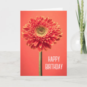 Carte Joyeux Anniversaire Gerbera Daisy Barberton Roug
