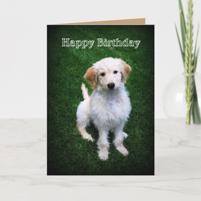 Carte Joyeux Anniversaire Golden Doodle Chiot (Devant)