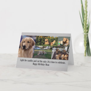 Carte Joyeux anniversaire Golden Retriever Maman Collage