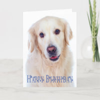 Joyeux Anniversaire Golden Retriever Puppy Chien C