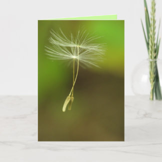 Carte Joyeux anniversaire - graines de pissenlit de vol